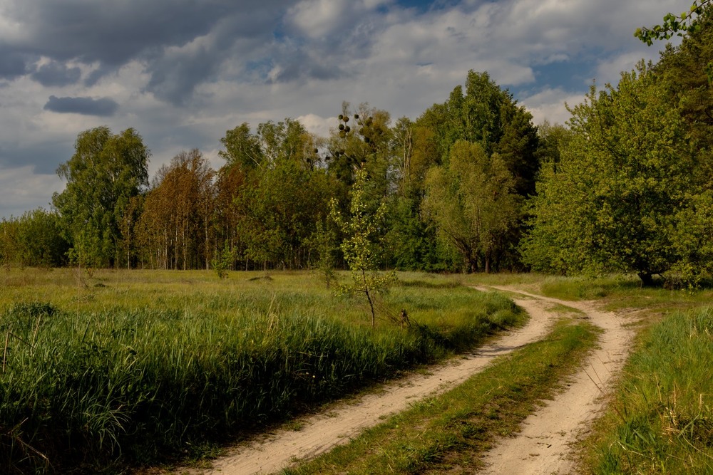 Фотографія Пейзаж / Андрій Макаренко / photographers.ua
