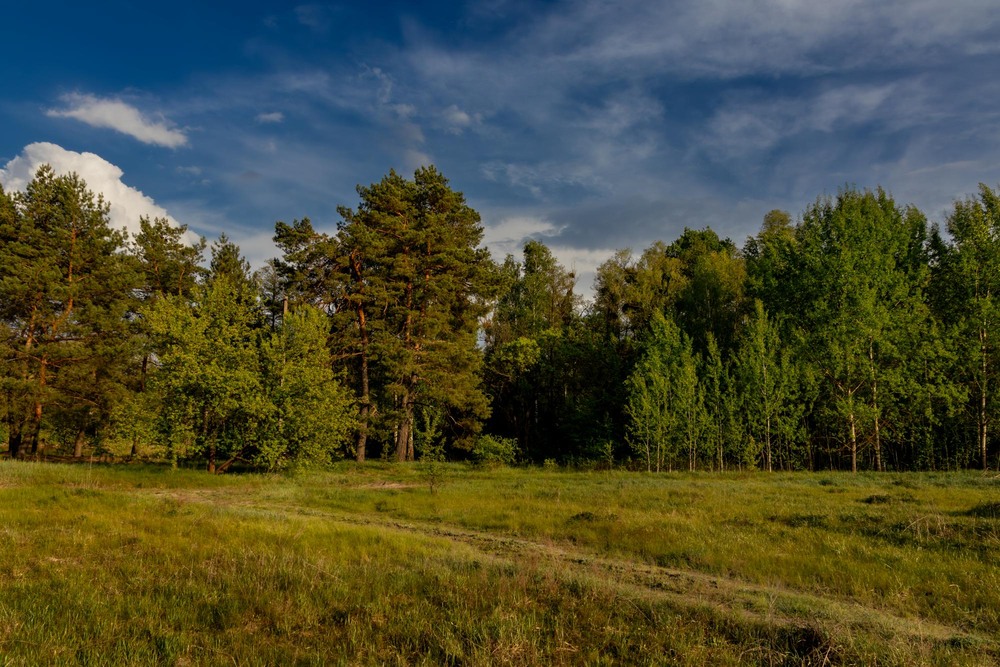Фотографія Пейзаж / Андрій Макаренко / photographers.ua