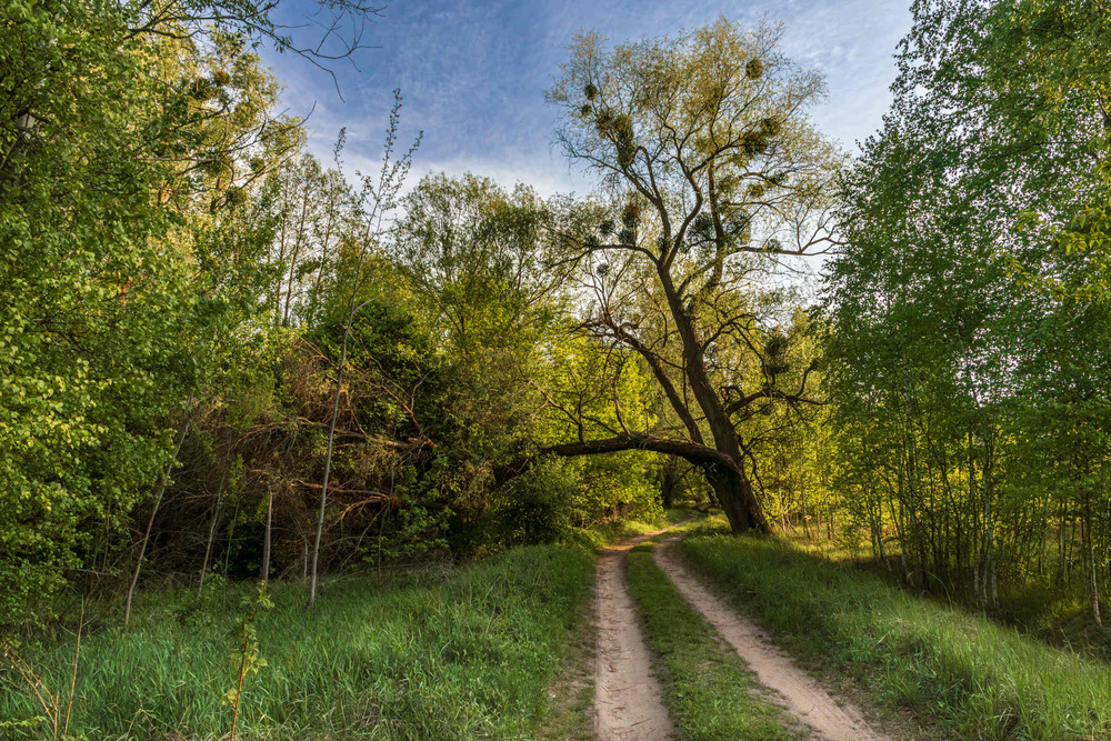Фотографія Пейзаж / Андрій Макаренко / photographers.ua