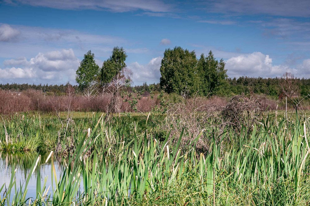 Фотографія Пейзаж / Андрій Макаренко / photographers.ua