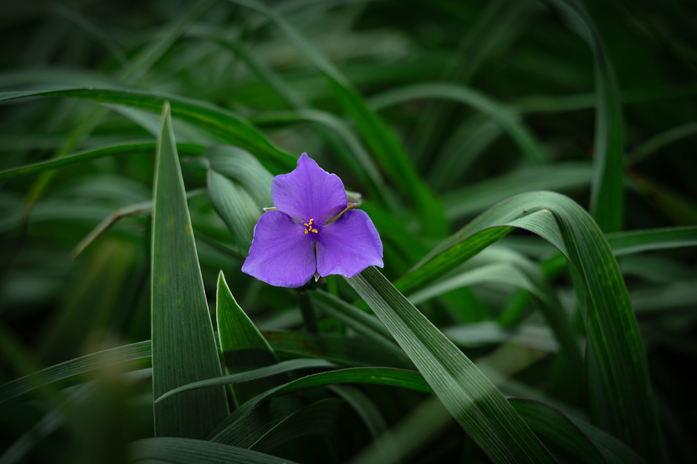 Фотографія Пейзаж / Андрій Макаренко / photographers.ua