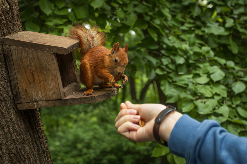 Фотографія Животные / Андрій Макаренко / photographers.ua