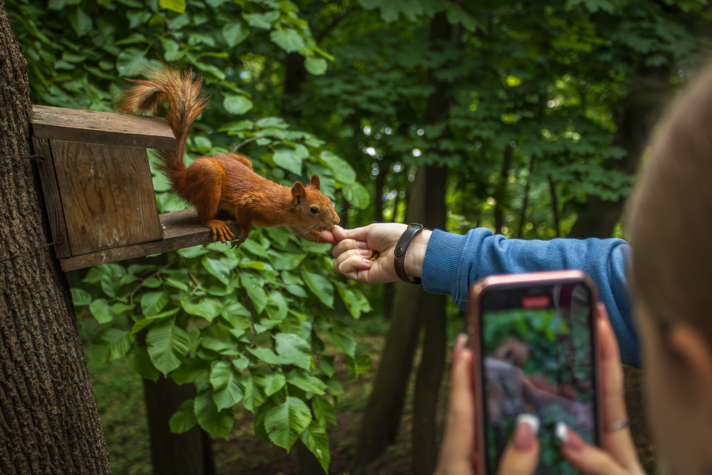 Фотографія Животные / Андрій Макаренко / photographers.ua