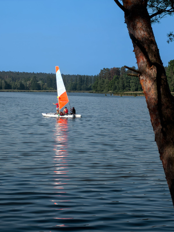 Фотографія Курс на літо! / Андрій Макаренко / photographers.ua