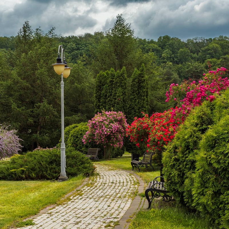 Фотографія Червневий розмай / Андрій Макаренко / photographers.ua