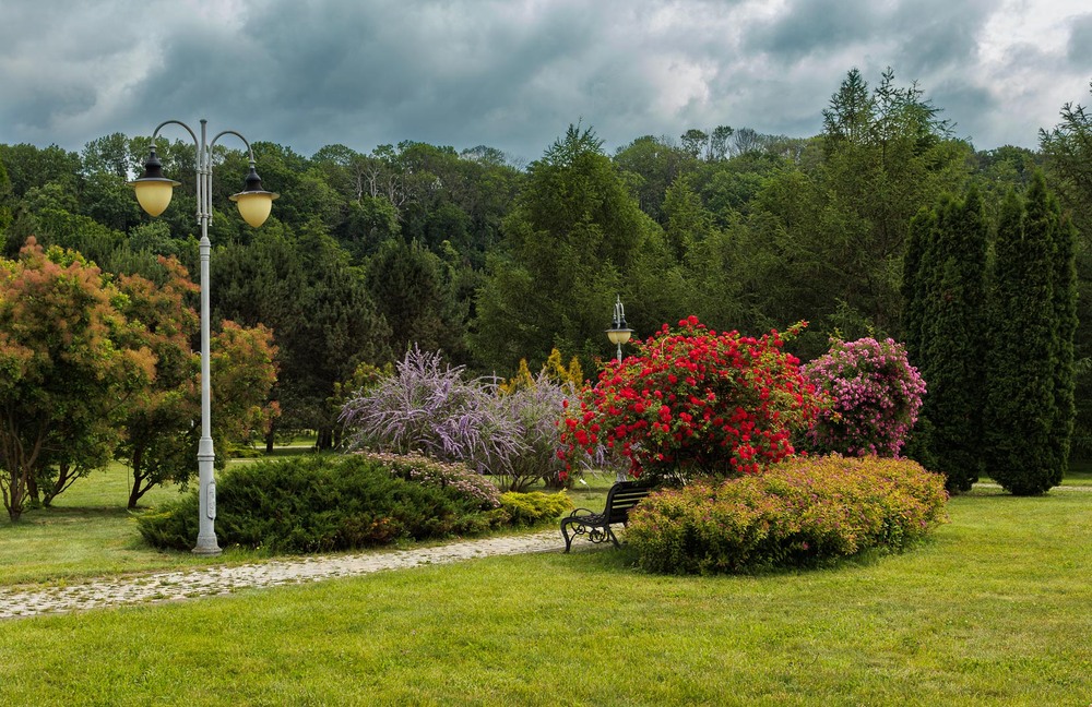 Фотографія Червневий розмай v2 / Андрій Макаренко / photographers.ua