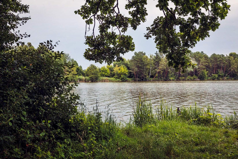 Фотографія Під дубом / Андрій Макаренко / photographers.ua