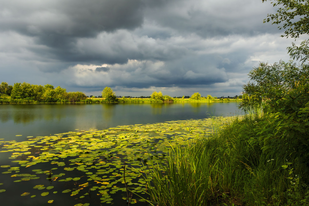 Фотографія Деснянська стариця / Андрій Макаренко / photographers.ua