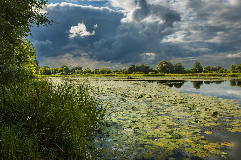 Фотографія Контрасти літнього дня / Андрій Макаренко / photographers.ua