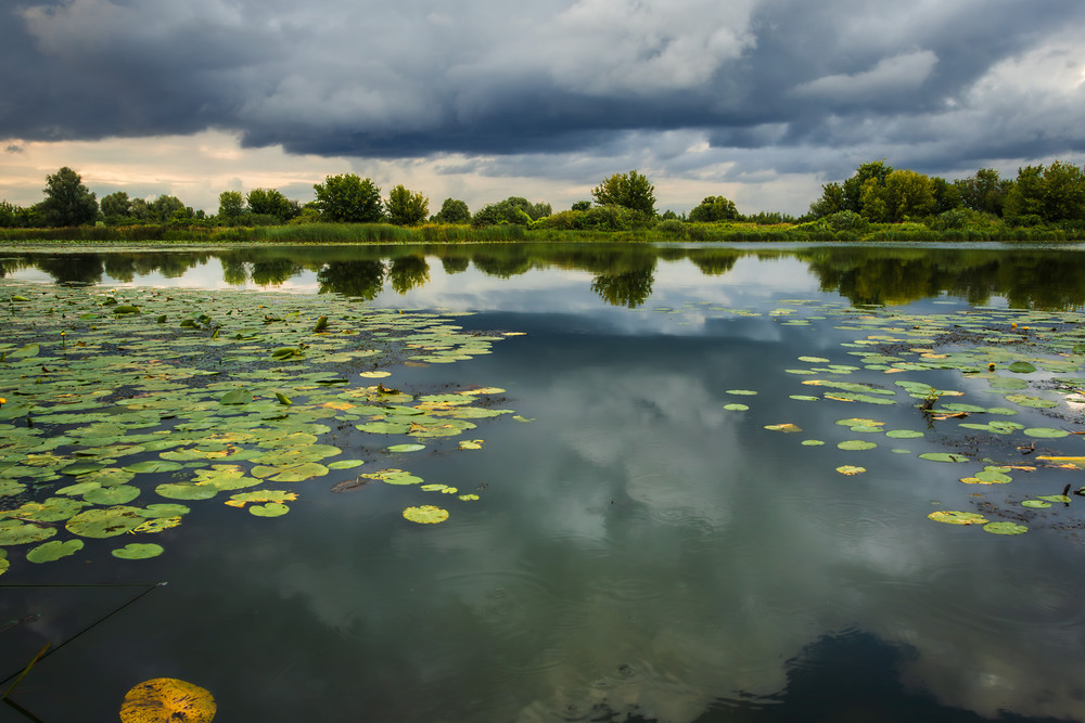 Фотографія Перед негодою / Андрій Макаренко / photographers.ua