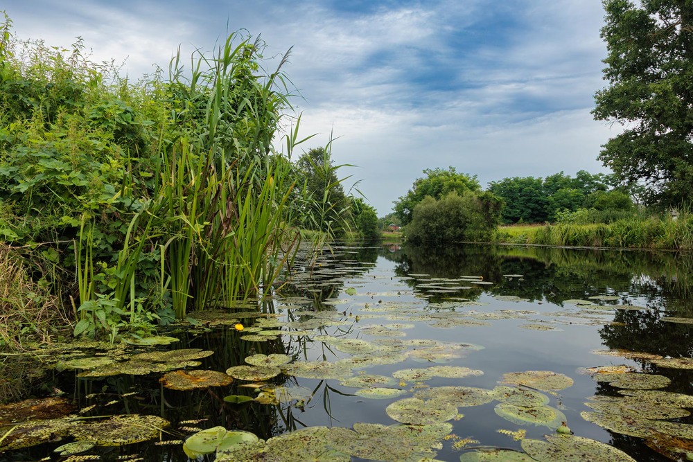 Фотографія Спокій природи, або природній спокій / Андрій Макаренко / photographers.ua