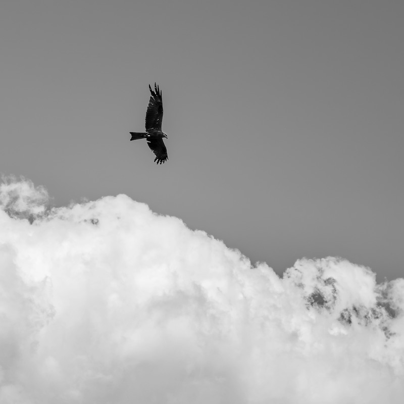 Фотографія Дивлюсь я на небо... / Андрій Макаренко / photographers.ua