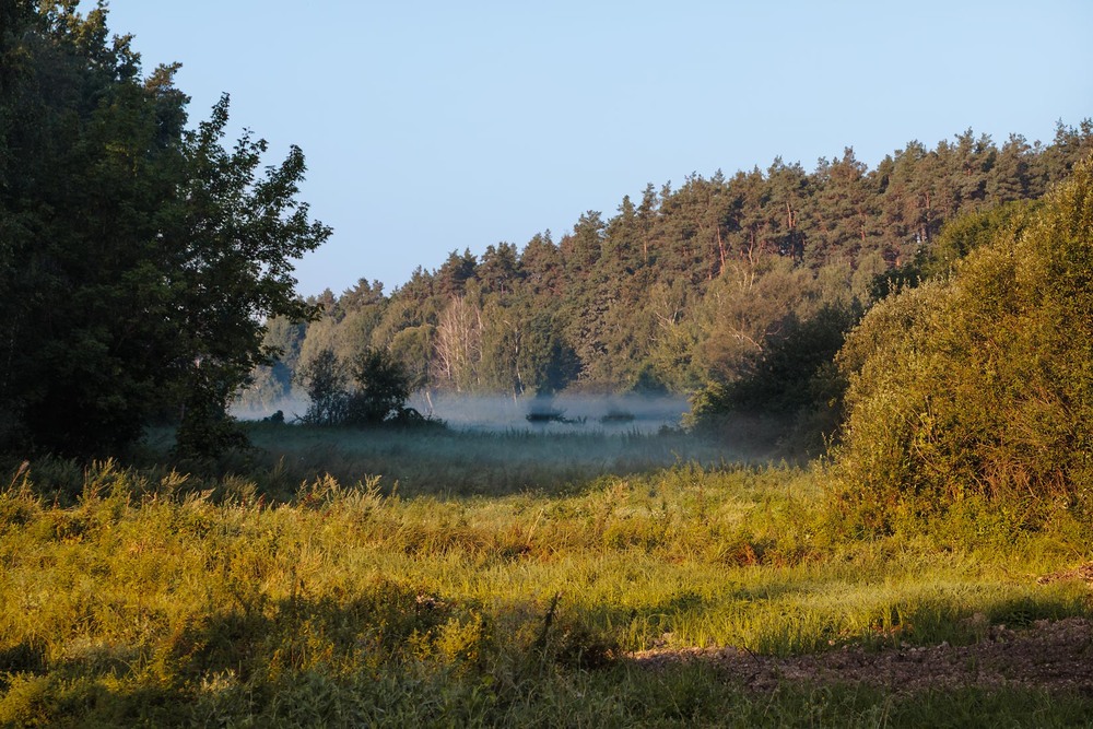 Фотографія Туман яром... / Андрій Макаренко / photographers.ua