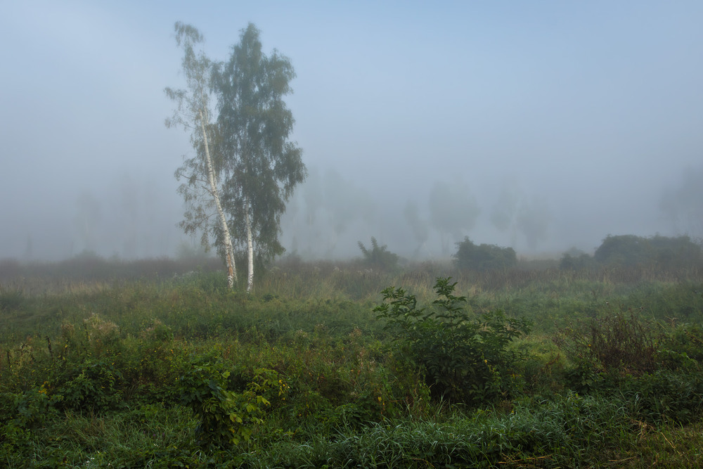 Фотографія На межі видимого / Андрій Макаренко / photographers.ua
