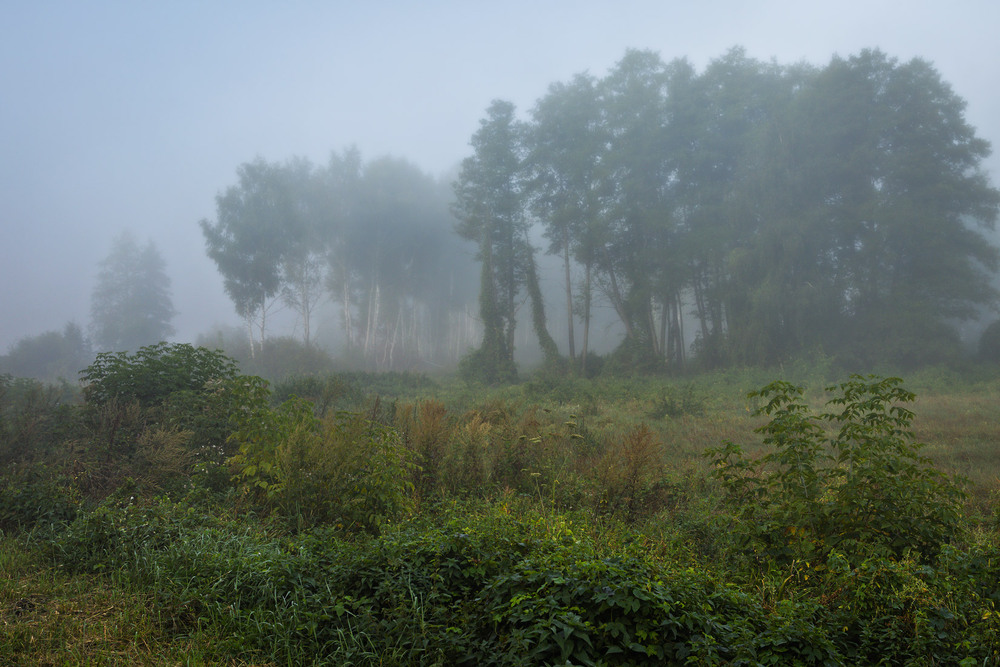 Фотографія На межі видимого (продовження) / Андрій Макаренко / photographers.ua