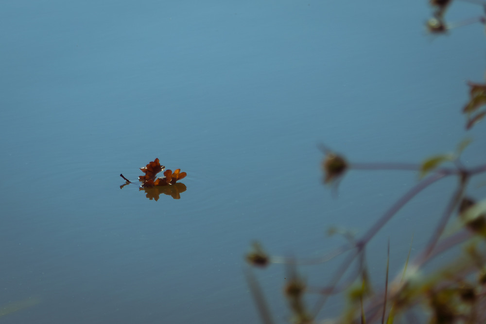 Фотографія Осінь пливе / Андрій Макаренко / photographers.ua