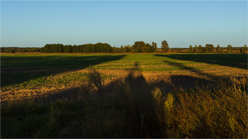 Фотографія Довгі кроки вечірнього сонця / Андрій Макаренко / photographers.ua