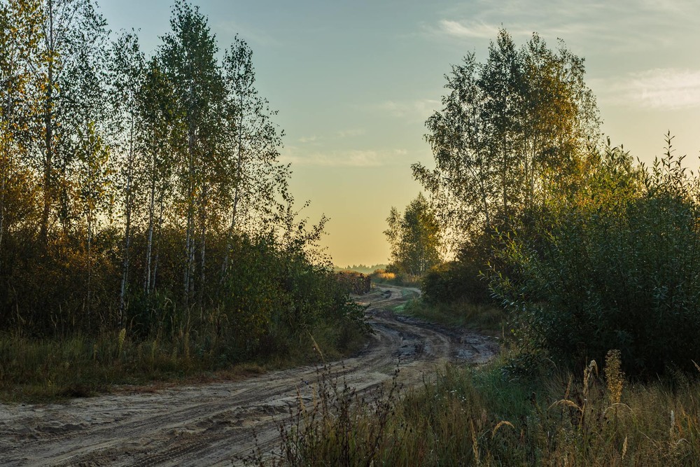 Фотографія Пейзаж / Андрій Макаренко / photographers.ua