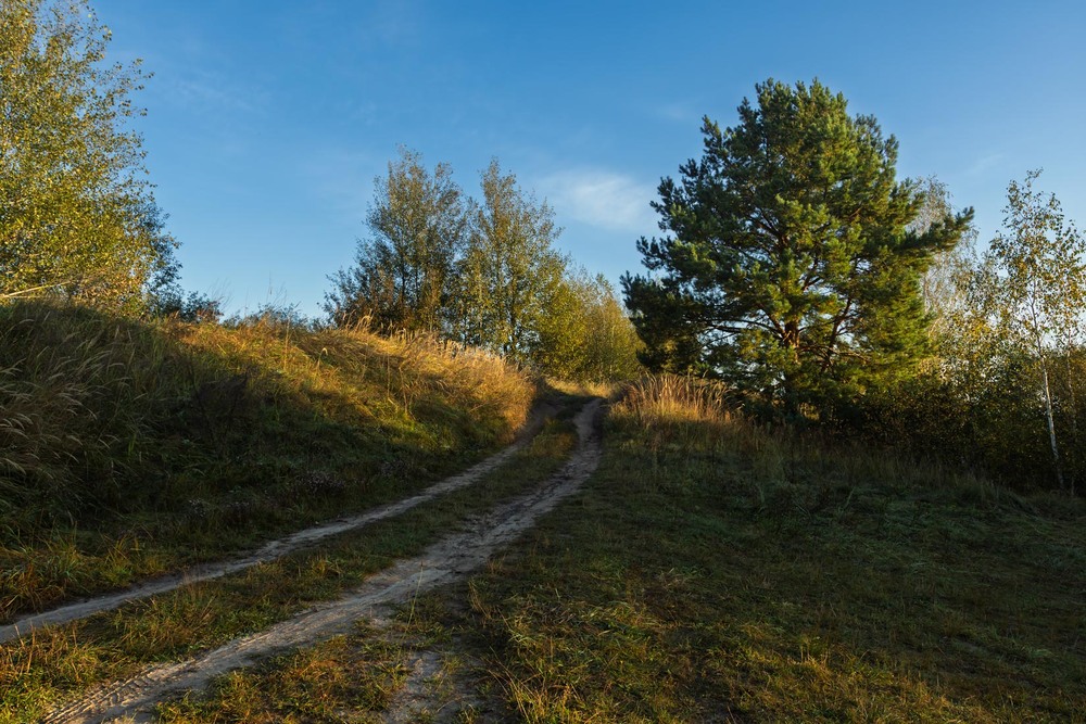 Фотографія Поліський шлях / Андрій Макаренко / photographers.ua