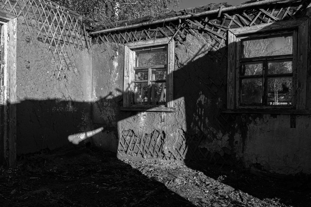 Фотографія Невпинний час: Тінь життя / Андрій Макаренко / photographers.ua