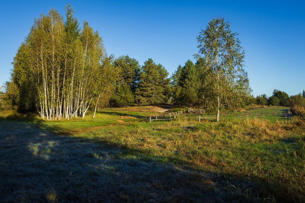 Фотографія Під натиском сонця / Андрій Макаренко / photographers.ua