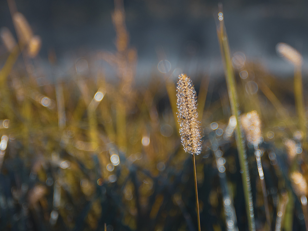 Фотографія Пейзаж / Андрій Макаренко / photographers.ua