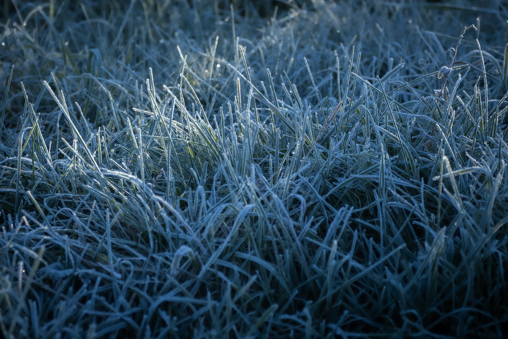 Фотографія Морозно / Андрій Макаренко / photographers.ua