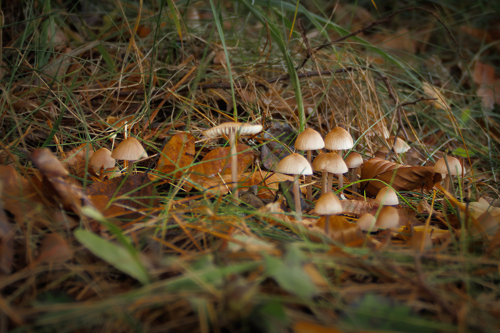 Фотографія Пейзаж / Андрій Макаренко / photographers.ua