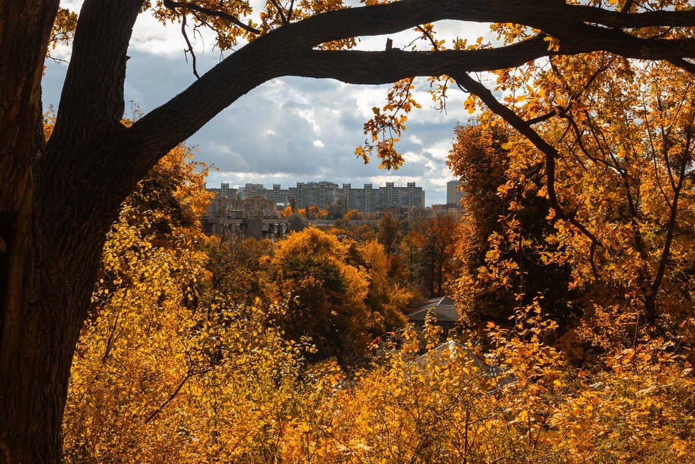Фотографія Місто: підглядаючи за осінню / Андрій Макаренко / photographers.ua