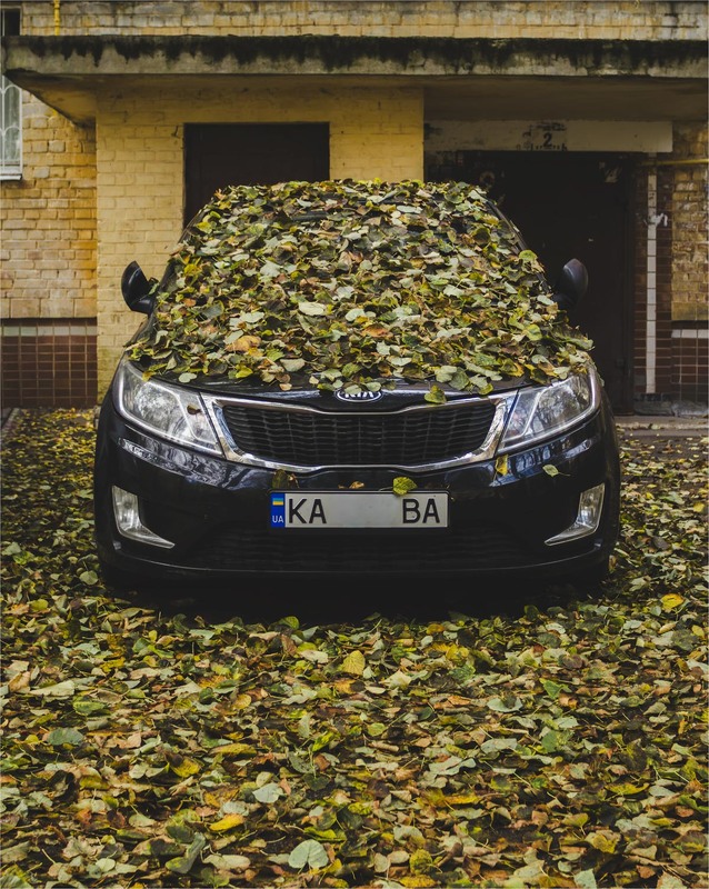 Фотографія Замальовки міста: Осінній анабіоз / Андрій Макаренко / photographers.ua