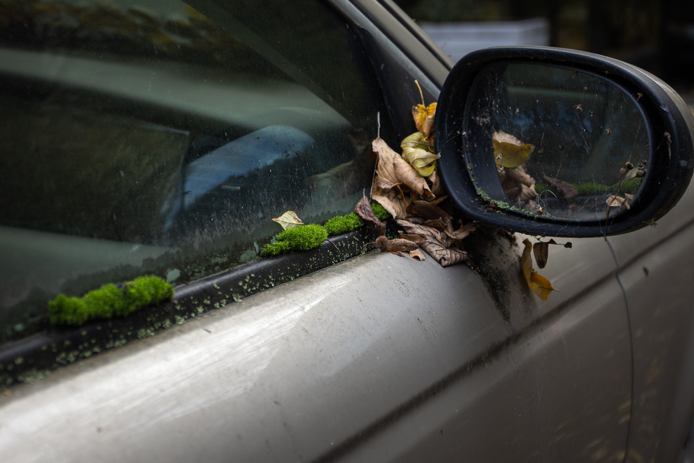 Фотографія Квінтесенція забуття / Андрій Макаренко / photographers.ua