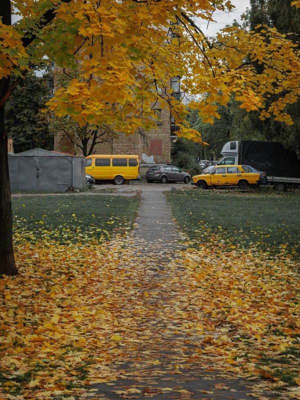 Фотографія Замальовки міста: Про жовтий / Андрій Макаренко / photographers.ua