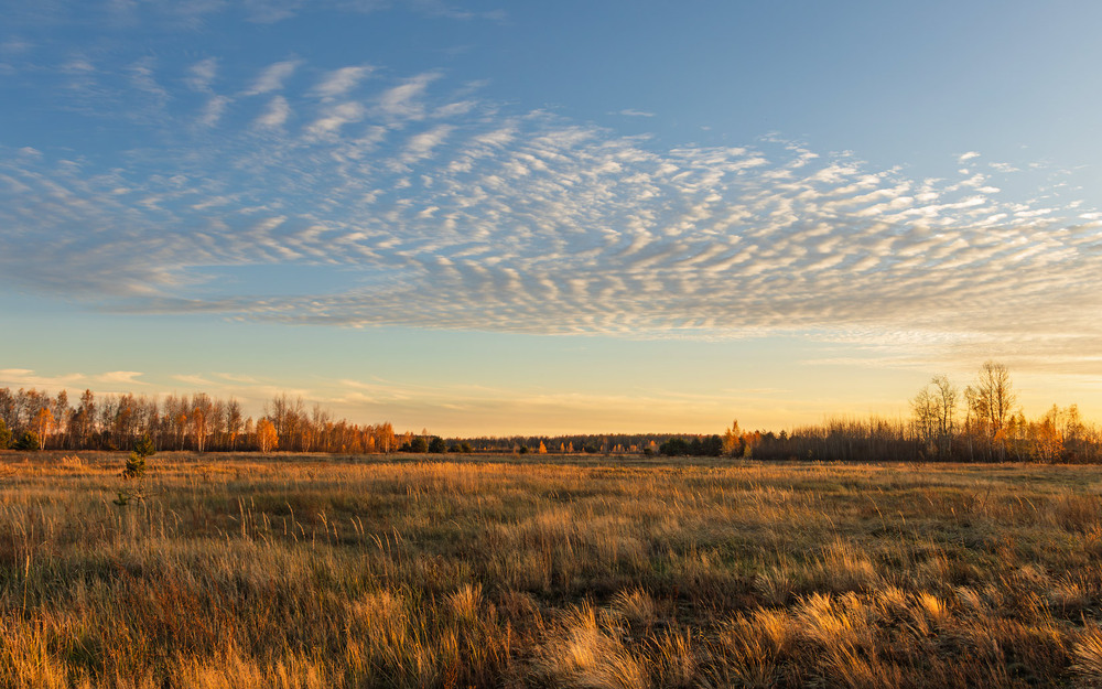 Фотографія Коли день видихає / Андрій Макаренко / photographers.ua