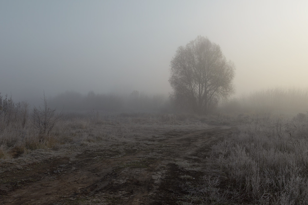 Фотографія Пейзаж / Андрій Макаренко / photographers.ua