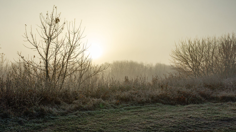 Фотографія Пейзаж / Андрій Макаренко / photographers.ua