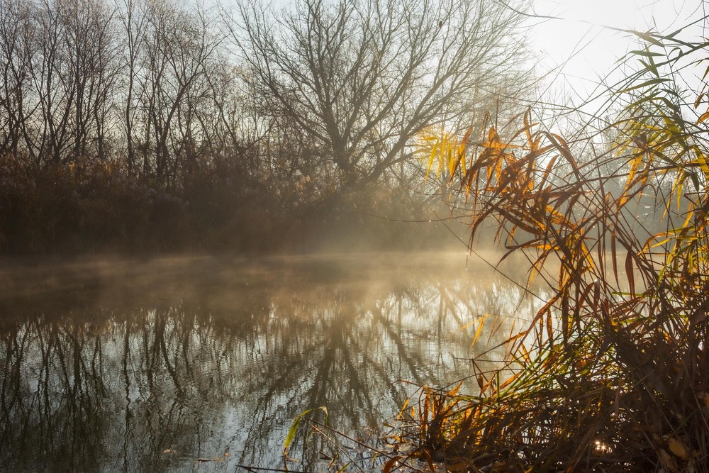 Фотографія Пейзаж / Андрій Макаренко / photographers.ua