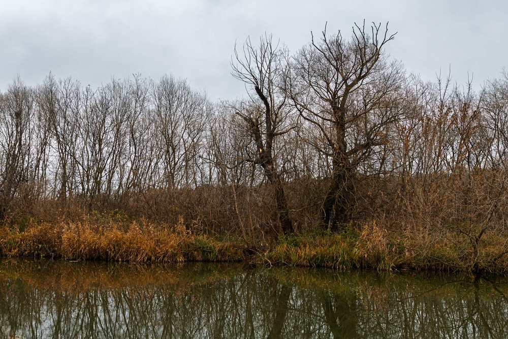 Фотографія Депресія пізньої осені / Андрій Макаренко / photographers.ua