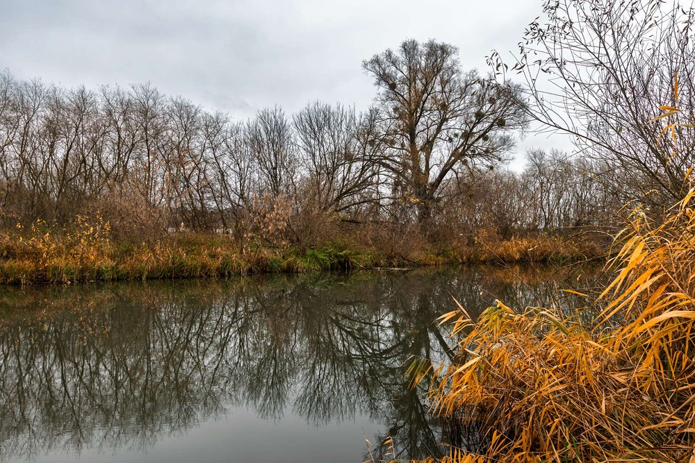Фотографія Пізня осінь впала в депресію / Андрій Макаренко / photographers.ua