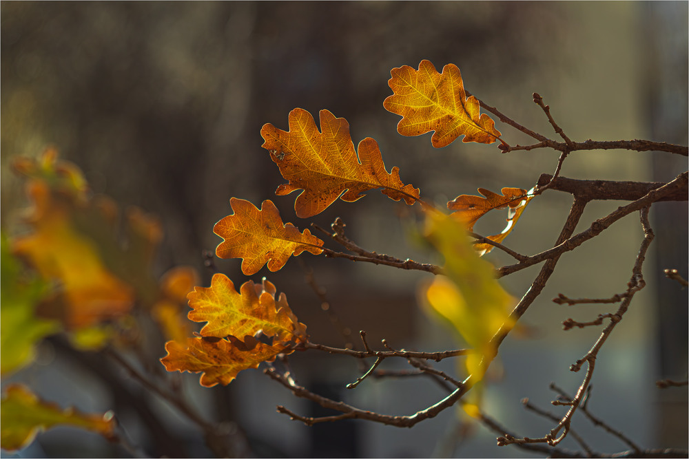 Фотографія Пейзаж / Андрій Макаренко / photographers.ua