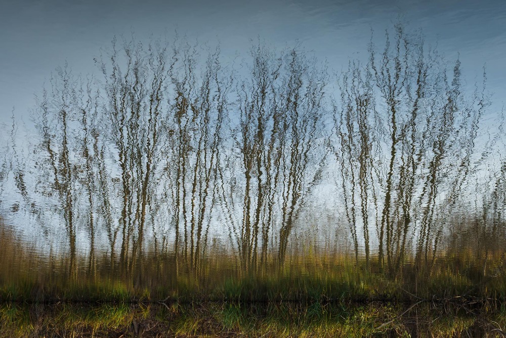 Фотографія Пейзаж / Андрій Макаренко / photographers.ua