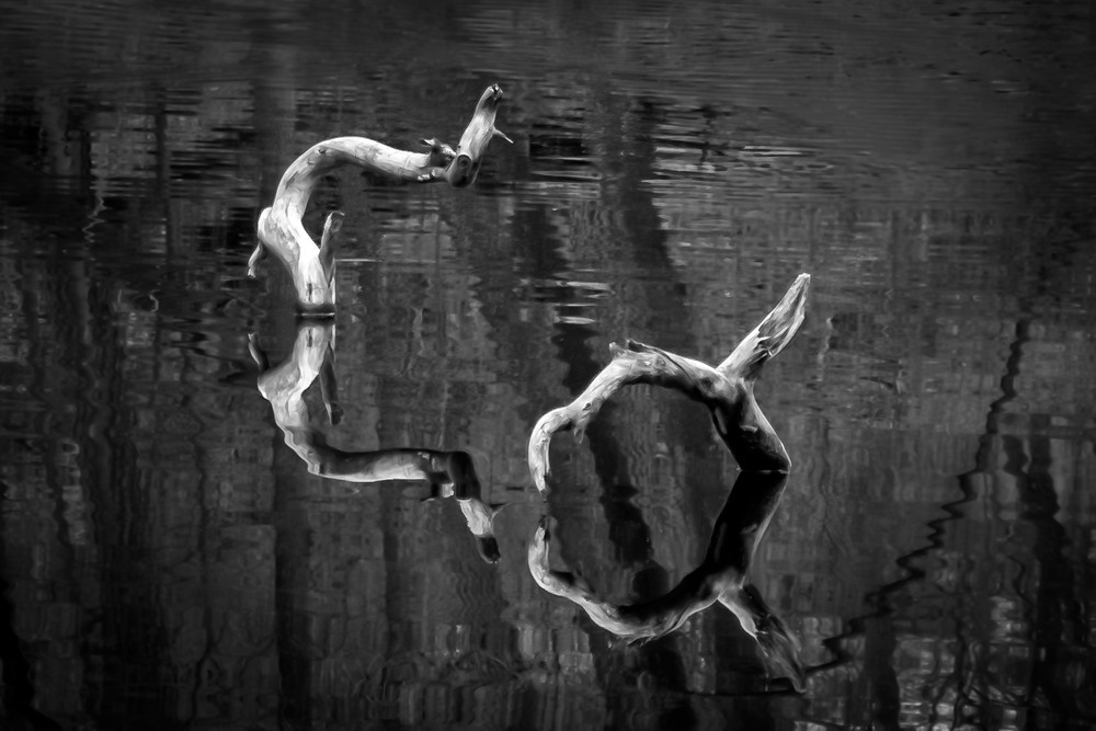 Фотографія Пейзаж / Андрій Макаренко / photographers.ua