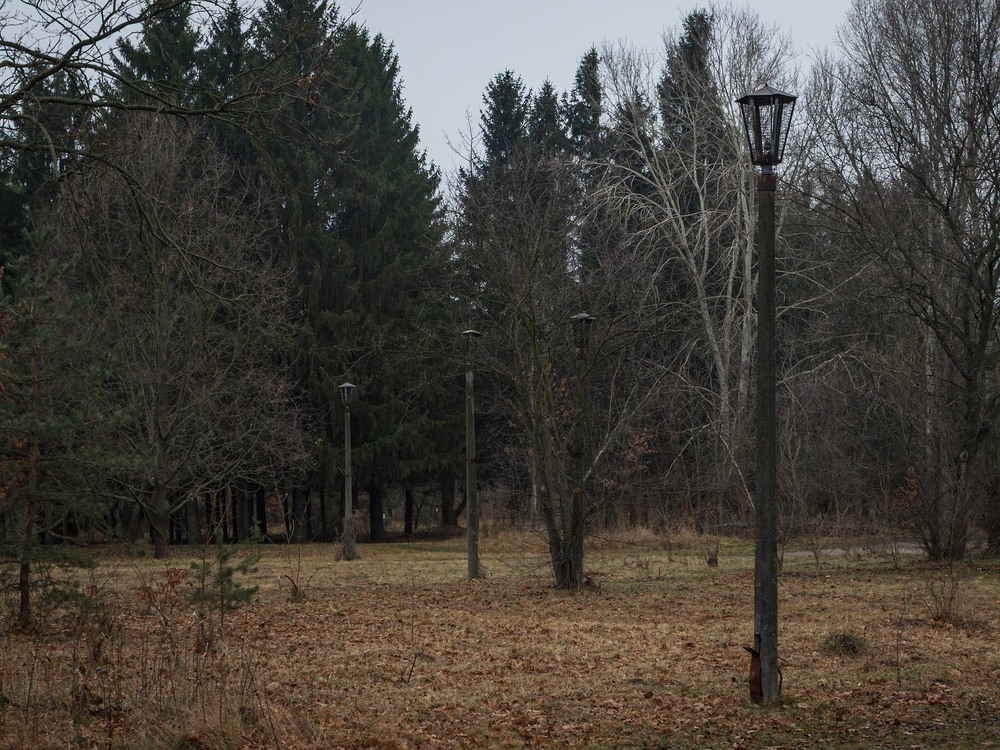 Фотографія Паркові прогулянки: Без адреси / Андрій Макаренко / photographers.ua