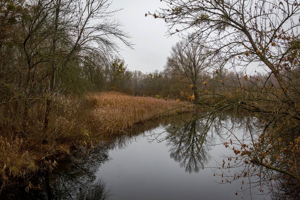 Фотографія Паркові прогулянки: тиха вода / Андрій Макаренко / photographers.ua
