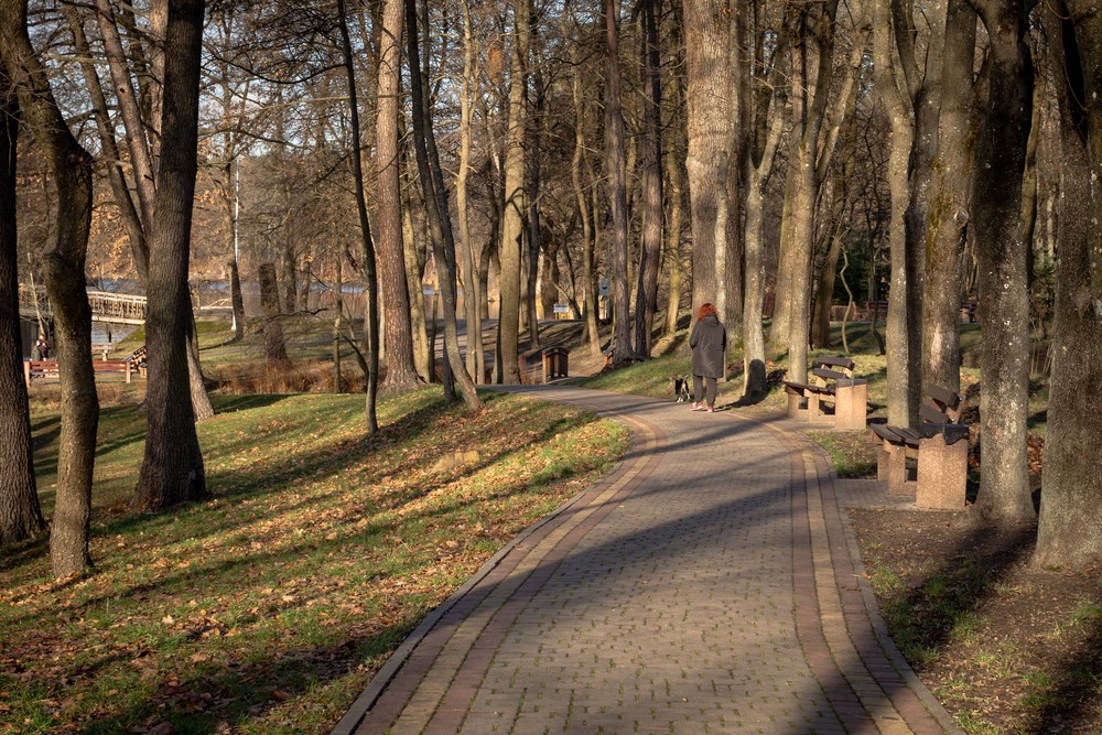 Фотографія Паркові прогулянки / Андрій Макаренко / photographers.ua