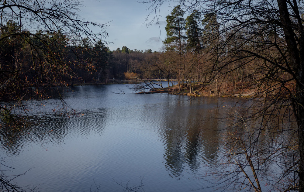 Фотографія Паркові прогулянки / Андрій Макаренко / photographers.ua