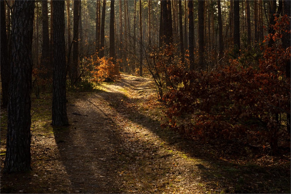 Фотографія Пейзаж / Андрій Макаренко / photographers.ua