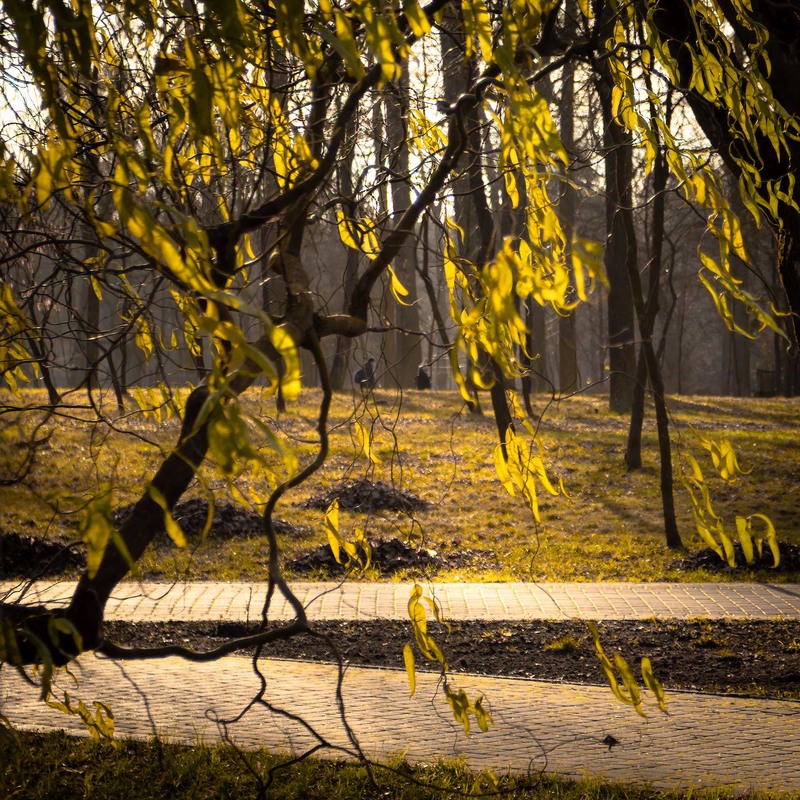Фотографія Паркові прогулянки / Андрій Макаренко / photographers.ua