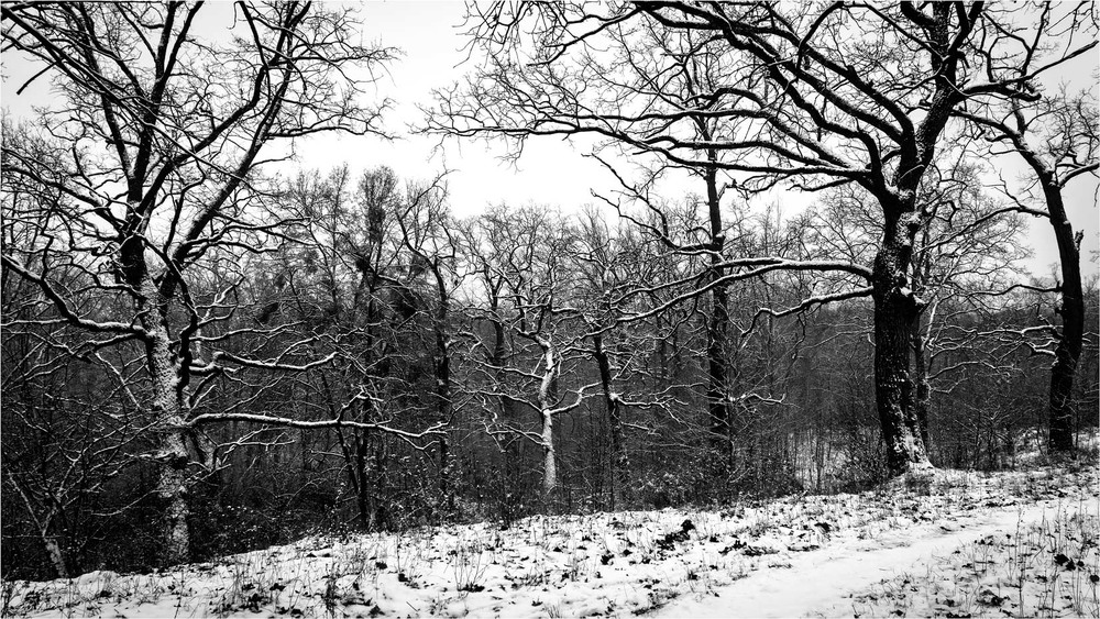 Фотографія Між дужками / Андрій Макаренко / photographers.ua