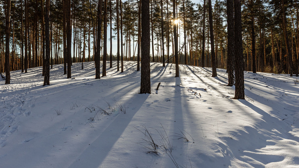 Фотографія Пейзаж / Андрій Макаренко / photographers.ua
