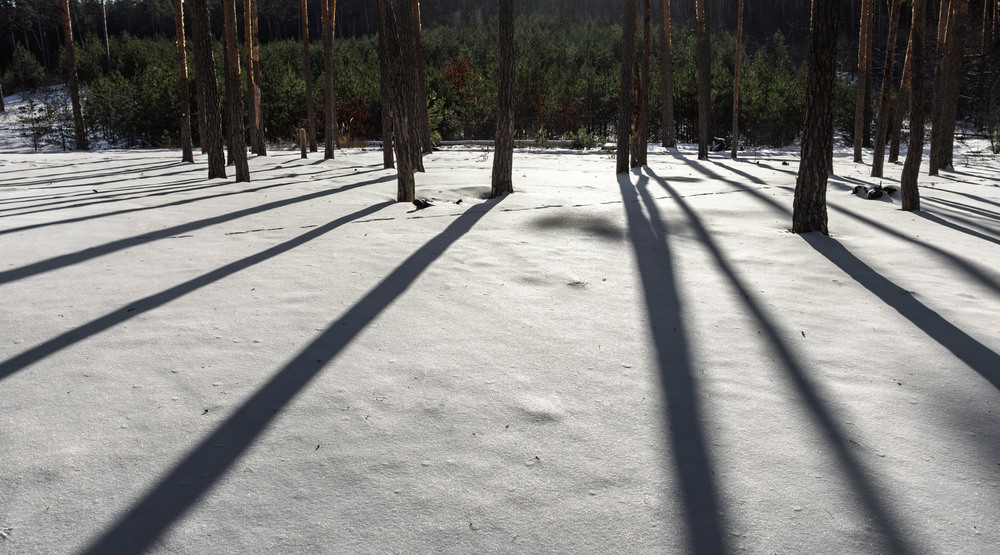 Фотографія Нахил дня / Андрій Макаренко / photographers.ua